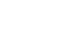 Lions Carrinhos